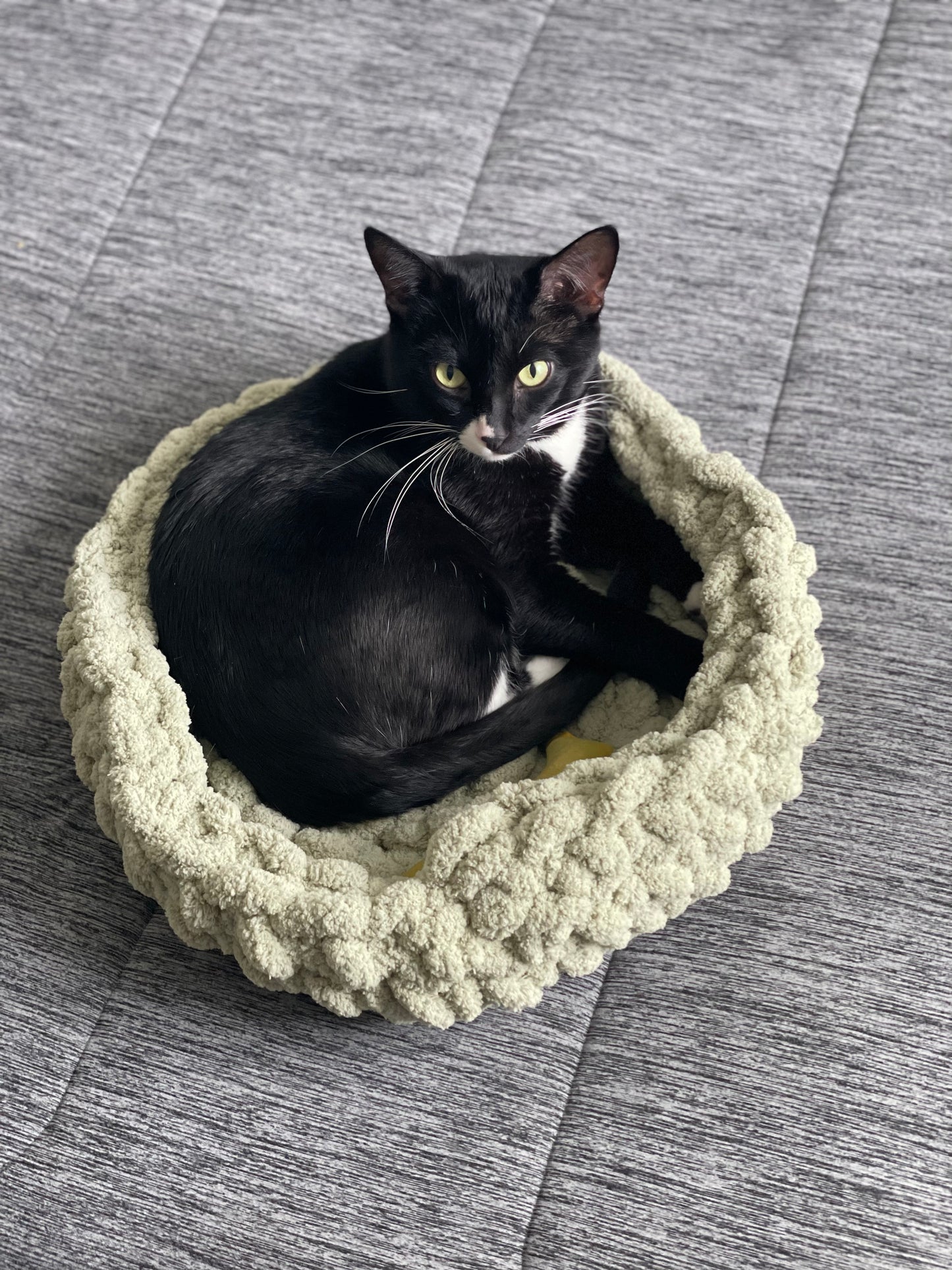 Pet Bed